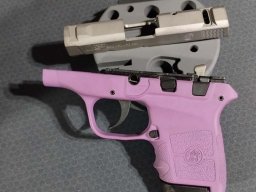 Smith &amp; Wesson Bodyguard Frame and slide